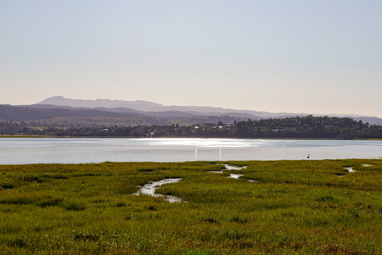 A large body of water beside a lush green field