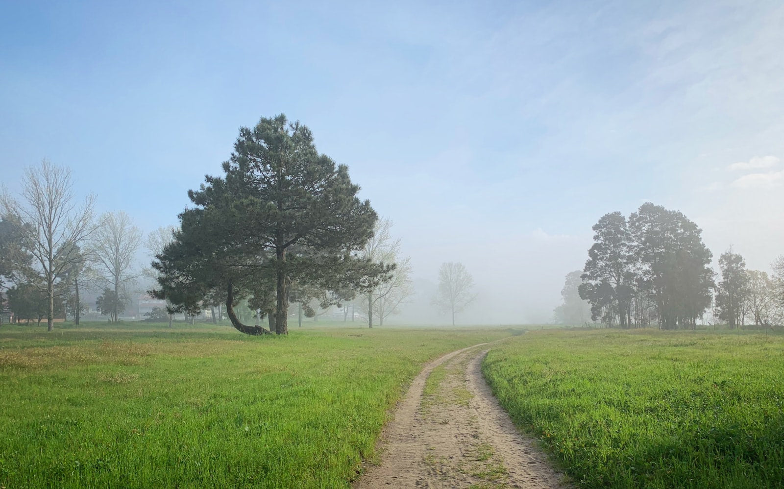 A dirt path winds through a misty green field