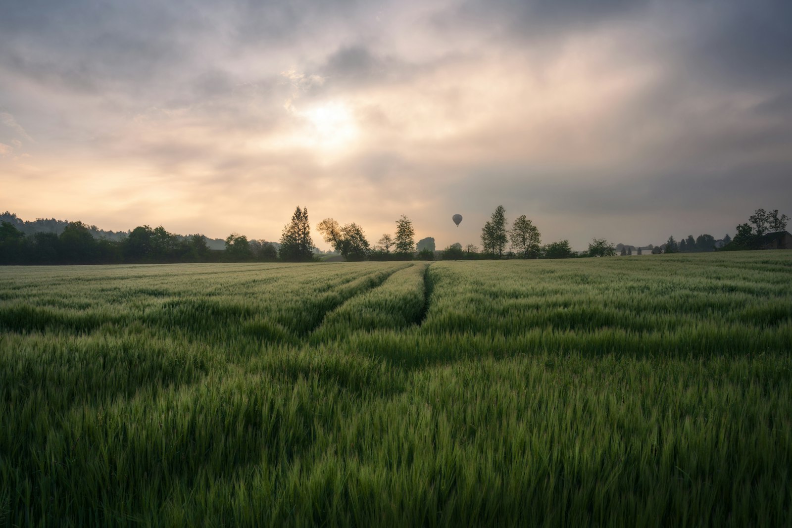 Green field with tire tracks under cloudy sky